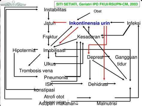 Ppt Inkontinensia Urin Powerpoint Presentation Free Download Id