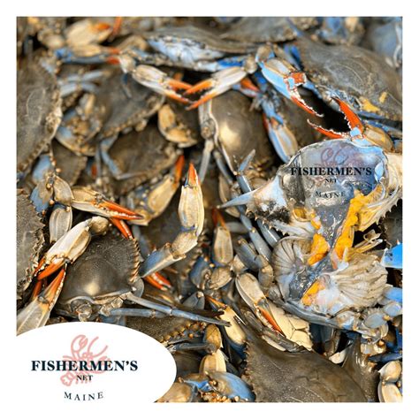 When Is Soft Shell Crab Season? How To Buy It? | Fishermen's Net