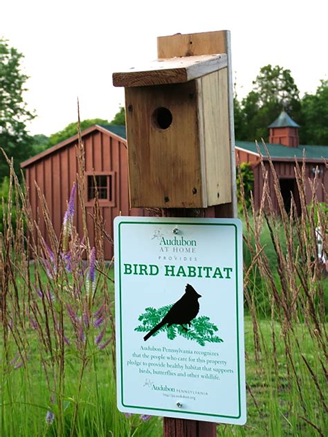 Bird Habitat  Audubon Pennsylvania