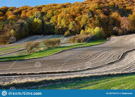 A Range Of Fields In Autumn Stock Photo Image Of Landscape Crops