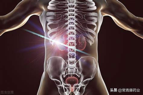 腎癌有什麼治療？了解一下，根治性腎切除術、保留腎單位手術 每日頭條