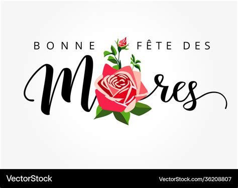 Happy mothers day - bonne fete des meres card Vector Image