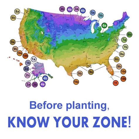 When Is The Best Time To Plant Trees In Missouri