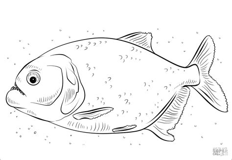 Desenhos De Piranhas Para Colorir Pintar E Imprimir Colorironline The