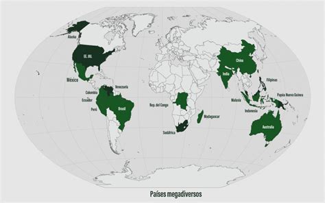 Los 17 Países Megadiversos ¿en Qué Lugar Está México Diversidad De