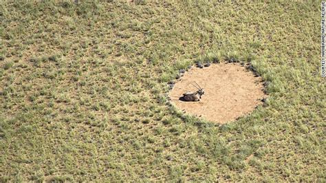 Namibias Fairy Circles Natures Greatest Mystery Cnn