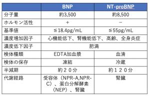 NT proBNPとはBNPとの違いをポイントで解説 気楽な看護 リハビリLife