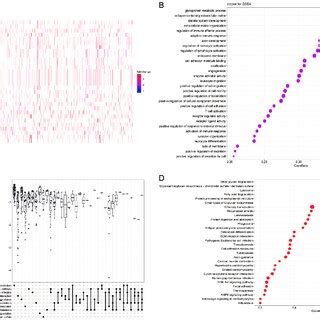 Gsea Enrichment Analysis A B Molecular Functional Heat Map And