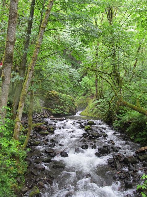 The Dilettante Photographer: More waterfalls near Portland, Oregon