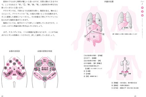 内臓もココロも整うお腹マッサージ チネイザン療法 出版書誌データベース