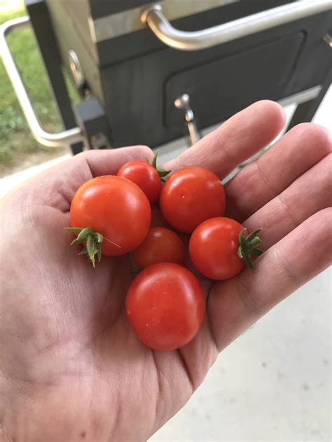Bountiful harvest reports show a record year for local farms 27