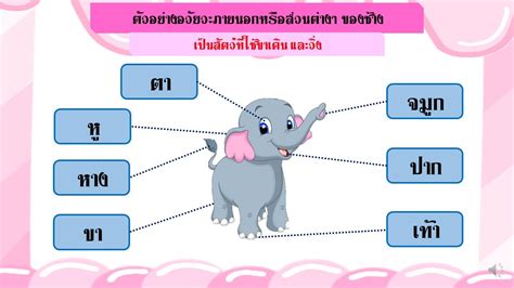 อวัยวะภายนอกของสัตว์ วิชาวิทยาศาสตร์ ป.1 - YouTube