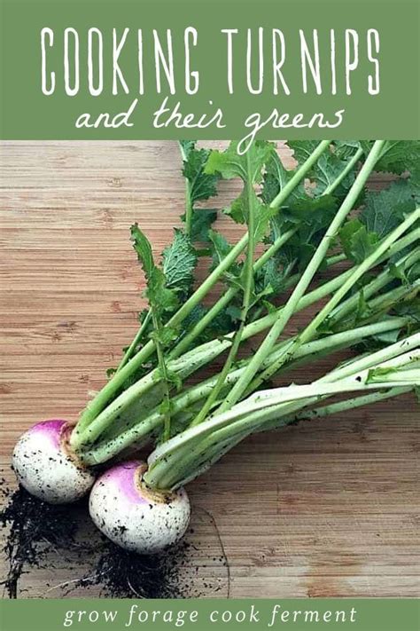 How To Cook Turnips And Turnip Greens Recipe How To Cook Turnips Turnip Greens Turnip