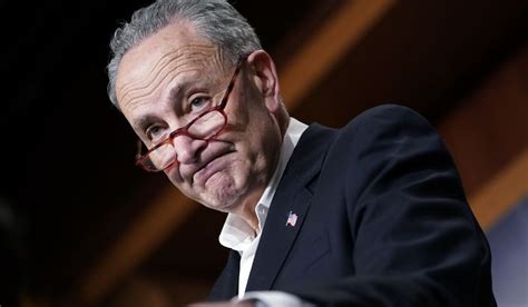 Chuck Schumer Senate minority leader after Democrats blue wave ...