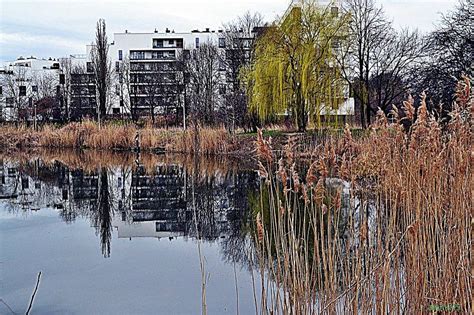 Warszawa Saska K Pa Garnek Pl