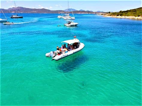 Olbia Excursi N De Avistamiento De Delfines Con Snorkel En La Isla De