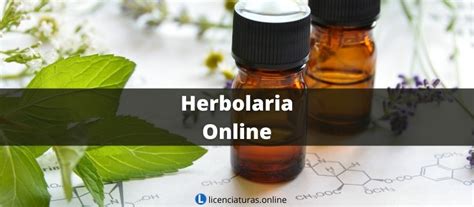 Herbolaria Y Fitoterapia En Línea ️ Licenciatura Y Diplomados