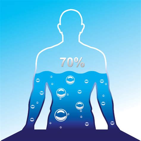70 Do Corpo É Água Os Outros 30 É - Água: composições, funções, ciclo, distribuição - Mundo Educação