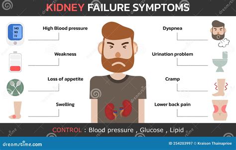 Kidney Failure Symptoms , Vector Stock Vector - Illustration of ...