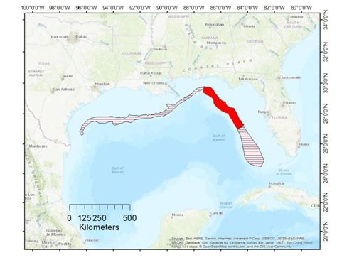 Rice S Whales Noaa Restore Science Program