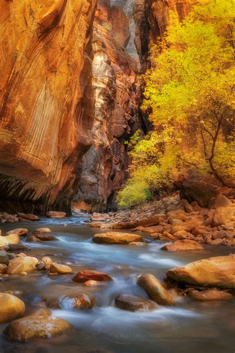 Zion National Park Alan Majchrowicz Photography