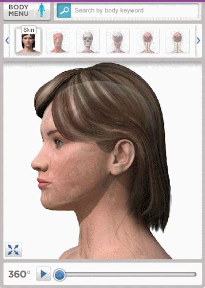 Bodymaps Bodymaps Is An Interactive Visual Search Tumbex