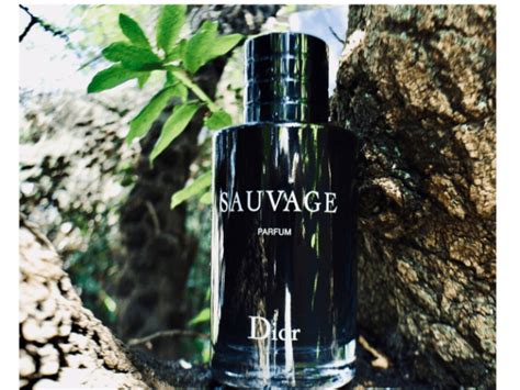 Review Parfum Sauvage Dior Atelier Yuwa Ciao Jp