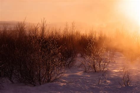 Free Images Landscape Tree Nature Forest Path Grass Outdoor