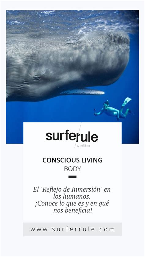 El reflejo de inmersión lo poseemos los mamiferos SURFER RULE