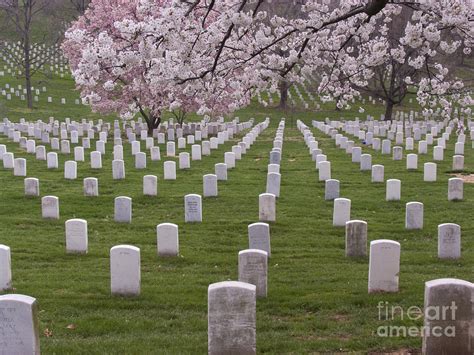 Graves of Heros in Arlington National Cemetery Photograph by Tim Grams ...