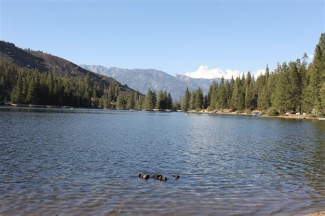 Hume Lake A Beautiful Heart