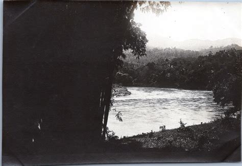 Sri Lanka, Peradeniya, Royal Botanical Garden, vintage silver print ...