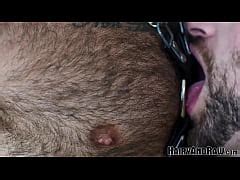 Hairyandraw Hairy Hunk Atlas Grant Ass Breeds Harper Davis Xxx Mobile Porno Videos Movies