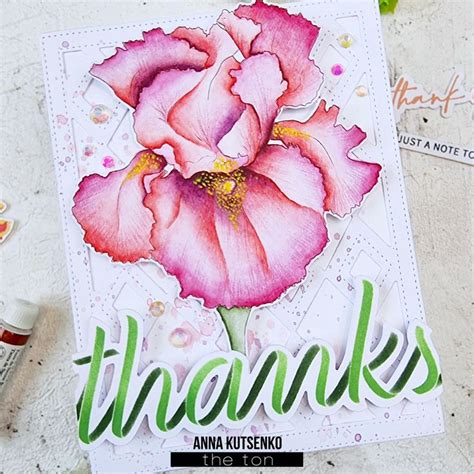 Pin Oleh Anne Marie Neal Di Papercrafts The Ton Stamps