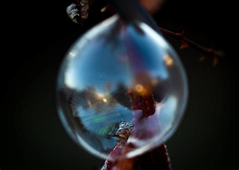 freezing bubbles on Behance