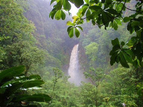 Trafalgar Falls, Dominica. The whole little island of Dominica is a ...