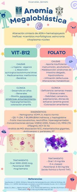 Anemia Megaloblástica Diana Covarrubias uDocz