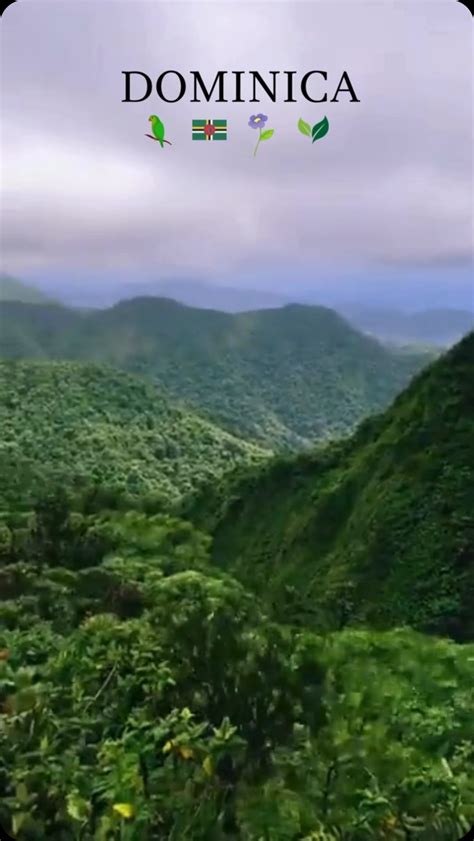 Dominica Cable Car (@cablecardominica) • Instagram photos and videos