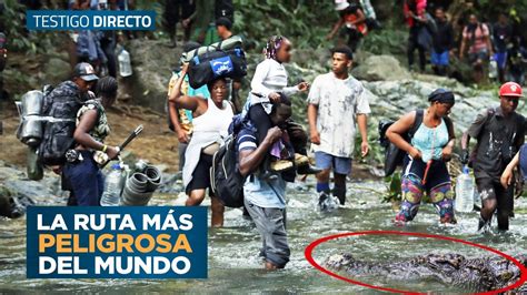 Selva del Darién 2023 Cruzando La Ruta Migratoria Más Peligrosa De