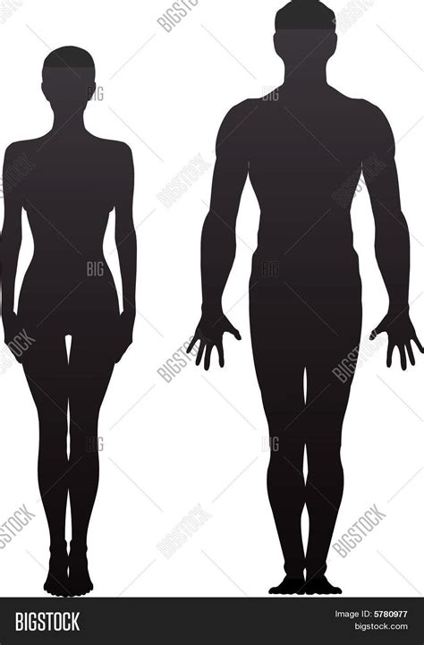 Man Womansilhouette Vector And Photo Free Trial Bigstock