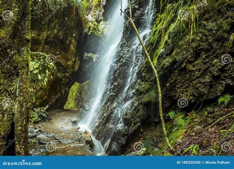 Una Cascada Al Lado Del Camino De Las Cascadas Gemelas En El Parque