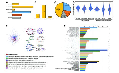 Matrisome Analysis Of Extracellular Matrix Derived From Human Dental Download Scientific