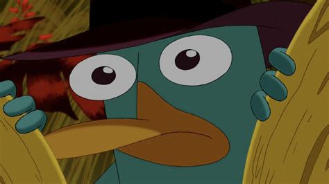 The Real Reason Phineas And Ferb Included A Platypus In The Show