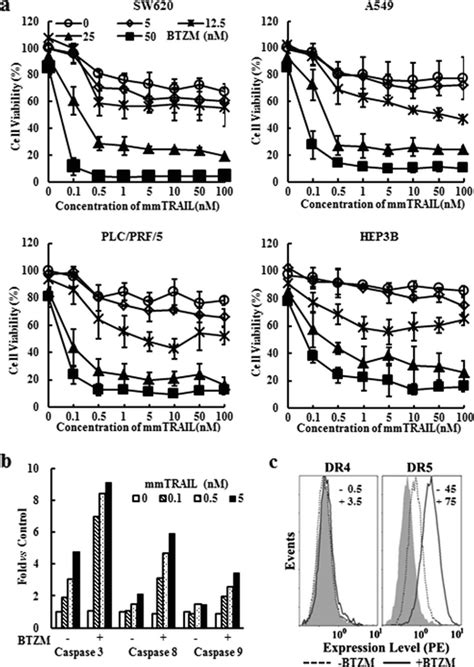 Synergistic Effect Of Bortezomib And Mmtrail In Resistant Tumor Cells