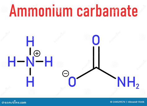 Structure Chimique Du Carbamate D Ammonium Formule Squelettique