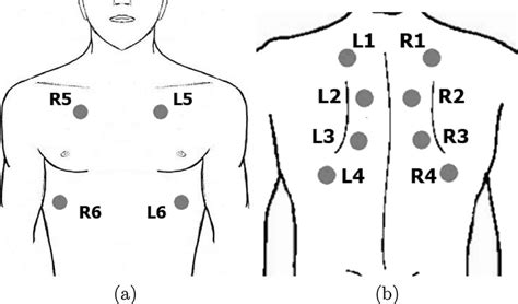 Lung Auscultation Sequence