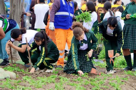 Municipalidad De Huaral Realiz Tercera Cruzada Verde Nacional En El