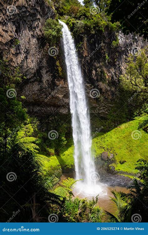 Bridal Veil Falls Raglan Waikato New Zealand Stock Photo Image Of