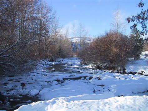 Free picture: creek, covered, ice, snow, winter