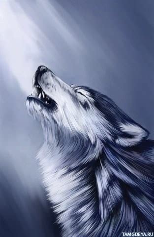 Create meme "dog, the wolf pattern, wolf" - Pictures - Meme-arsenal.com